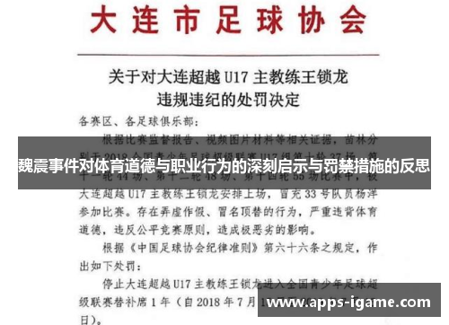 魏震事件对体育道德与职业行为的深刻启示与罚禁措施的反思